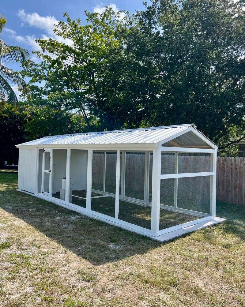 Backyard Chicken Coops