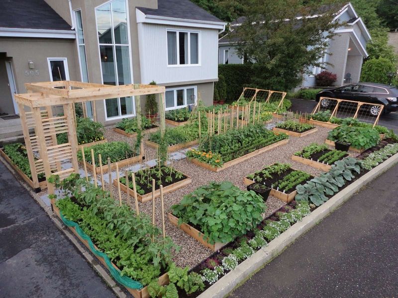 Front Yard Vegetable Gardens