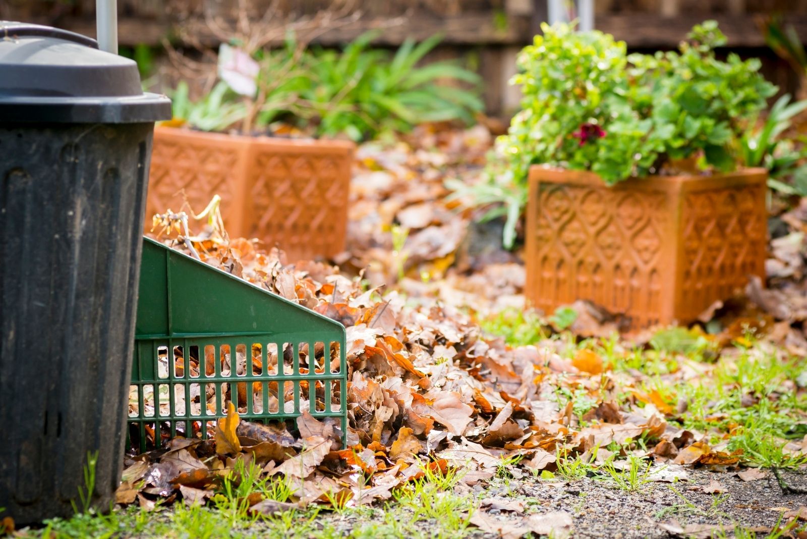 Tasks For A Fall Garden Clean Up Checklist In Illinois