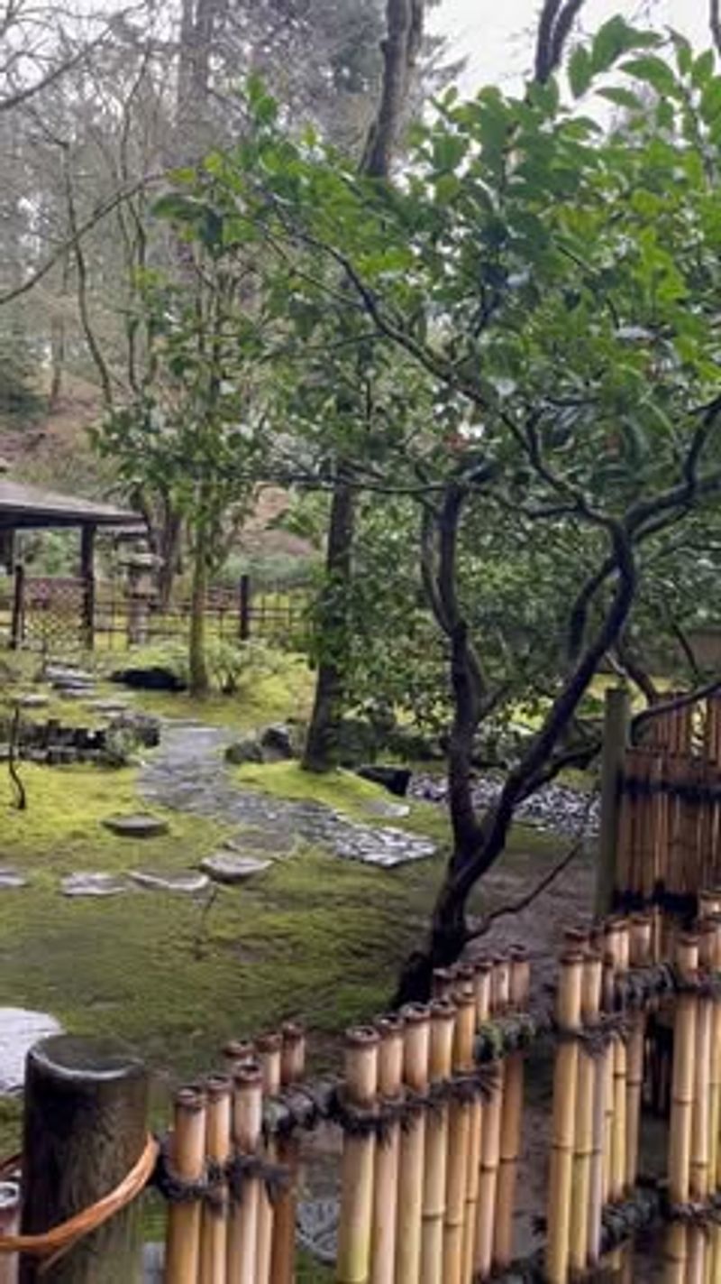 Bamboo Forest