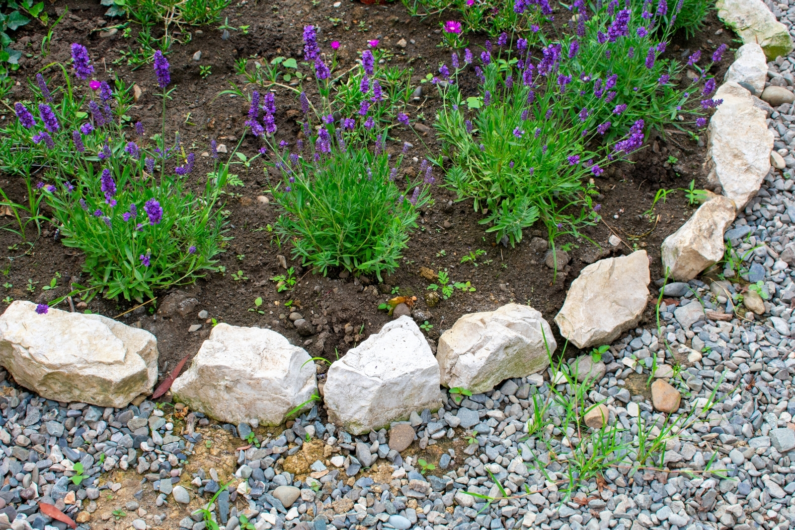 Tennessee Garden Edging And Border Design Ideas To Try This Year
