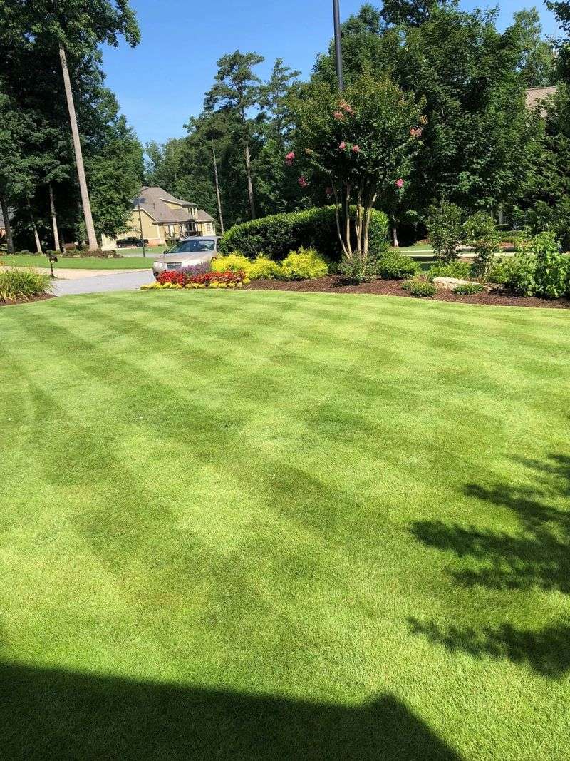 Apply Organic Matter Regularly