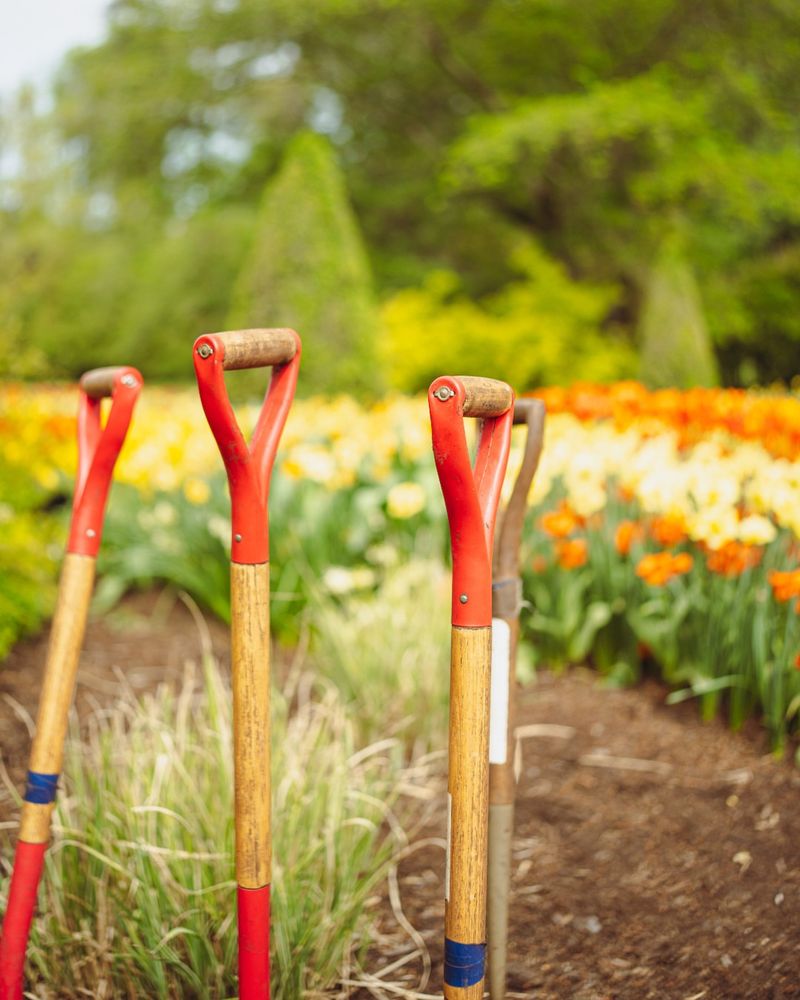 Gather Special Tools