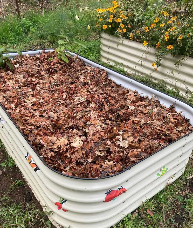 Mulch Garden Beds