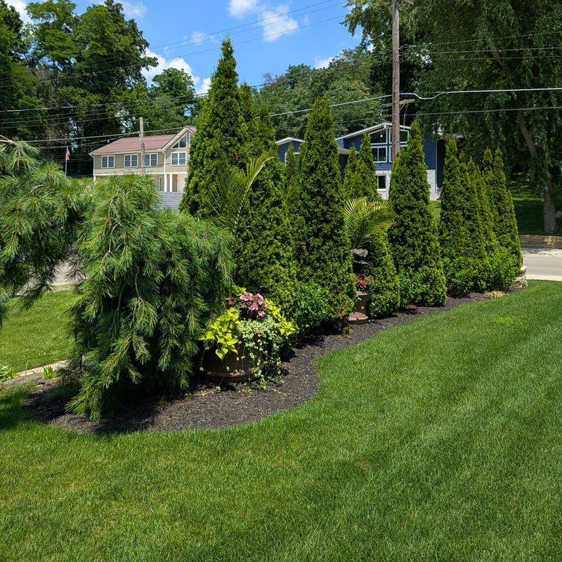 Compact Soil