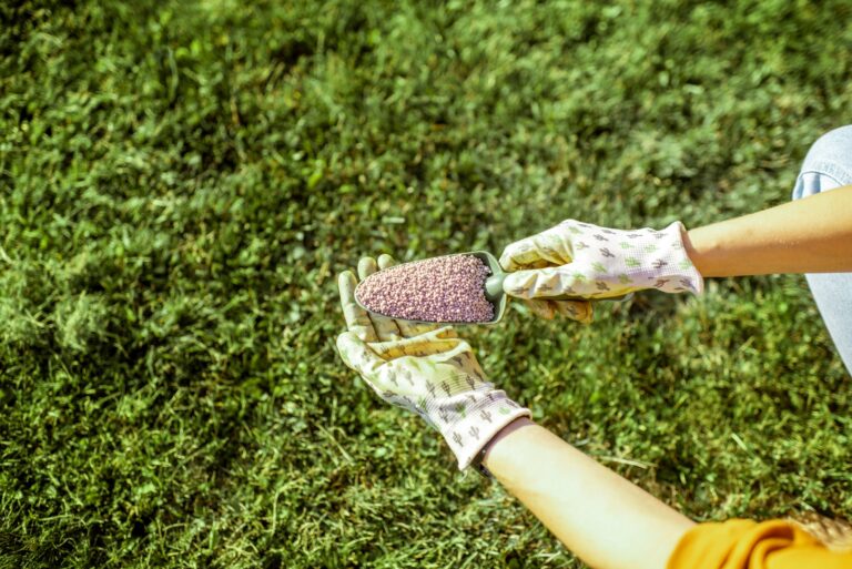 gardener holds a shovel filled with granular fertilizer