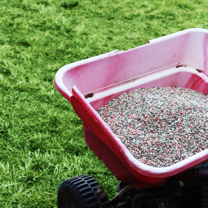 Using The Wrong Fertilizer Formula