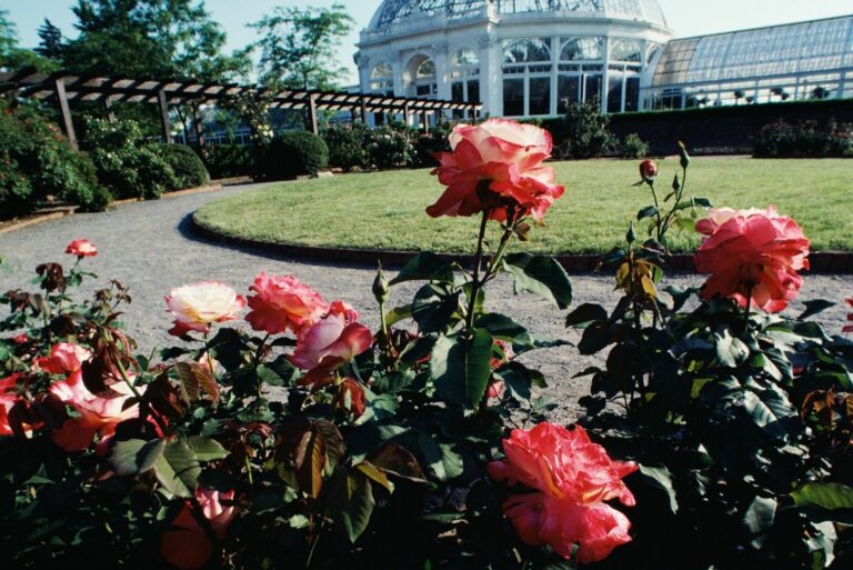 New York Botanical Gardens