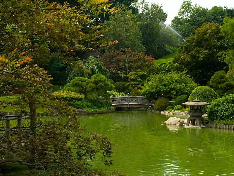 The Secret Oasis: Brooklyn Botanic Garden