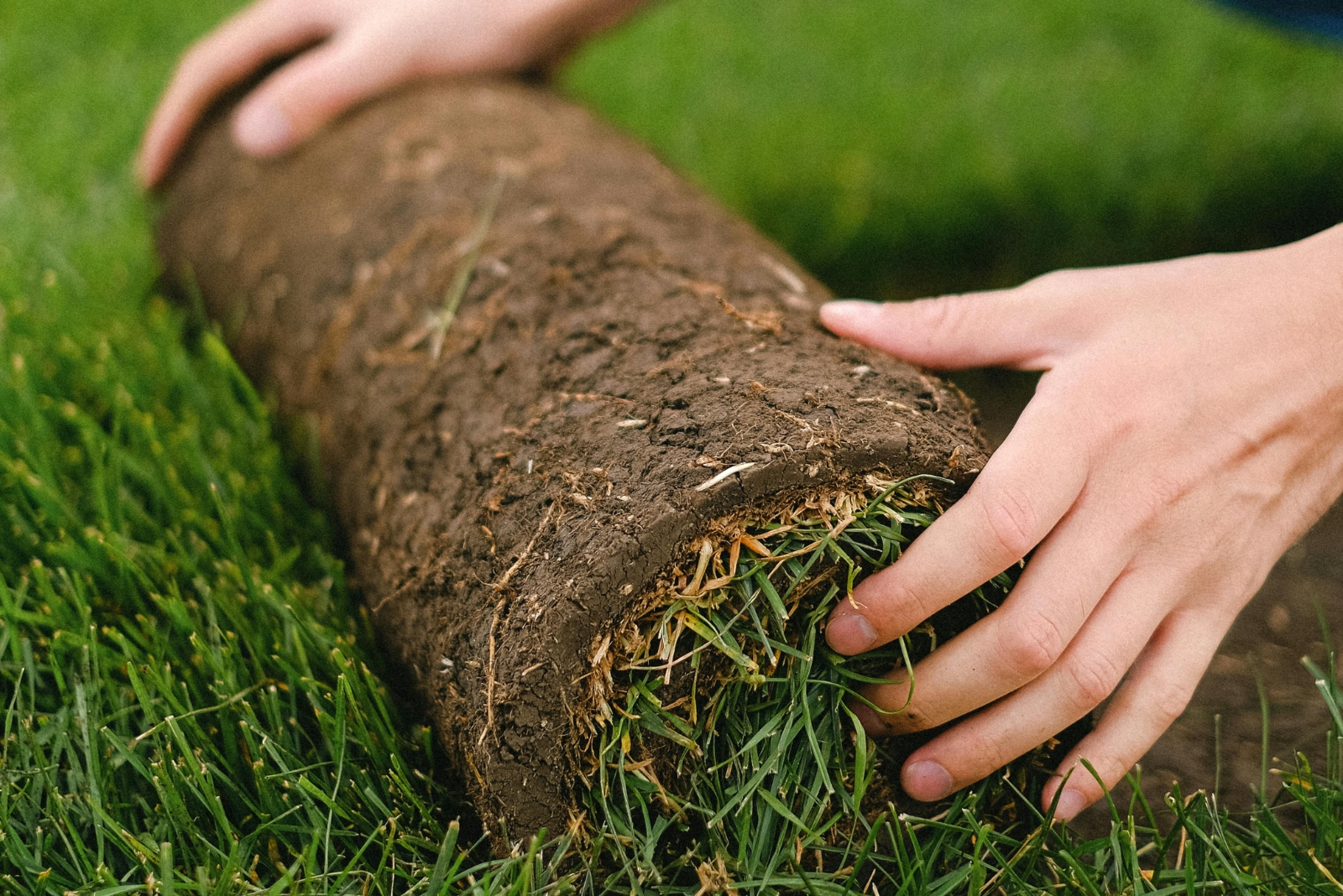 The 10 Surprising Yard Features That Could Be Banned In Washington