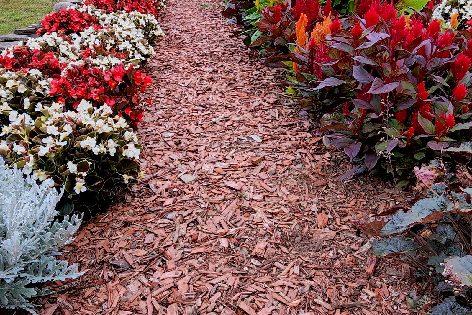 The Best Types Of Mulch To Prevent Weeds In Your Tennessee Garden