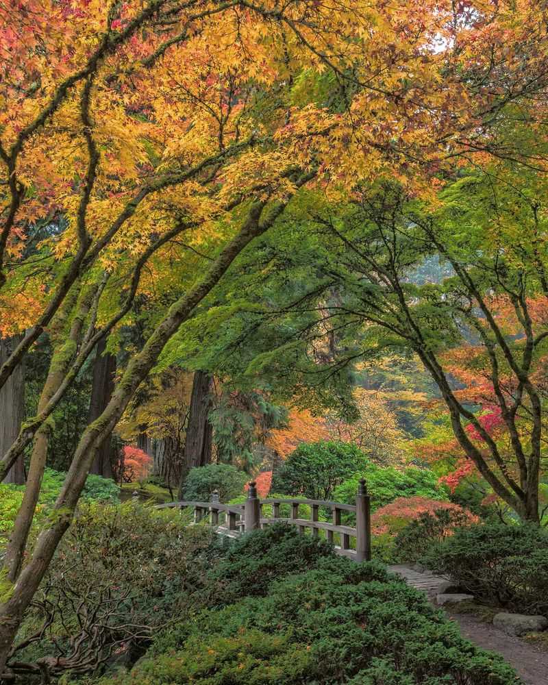 Strolling Pond Garden's Breathtaking Bridges