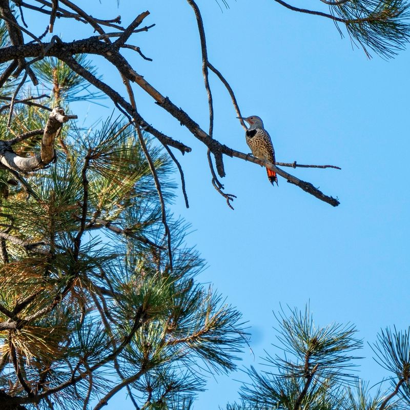 Winter Migration Patterns Matter