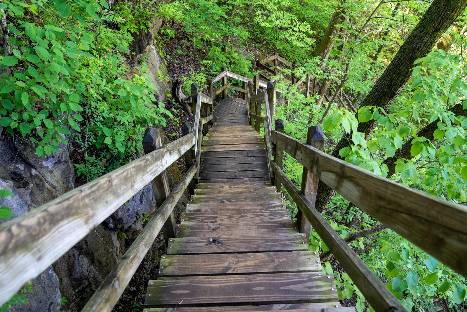 Ha Ha Tonka State Park spring trail