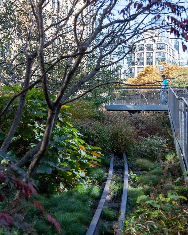 Elevated Wonder: The High Line