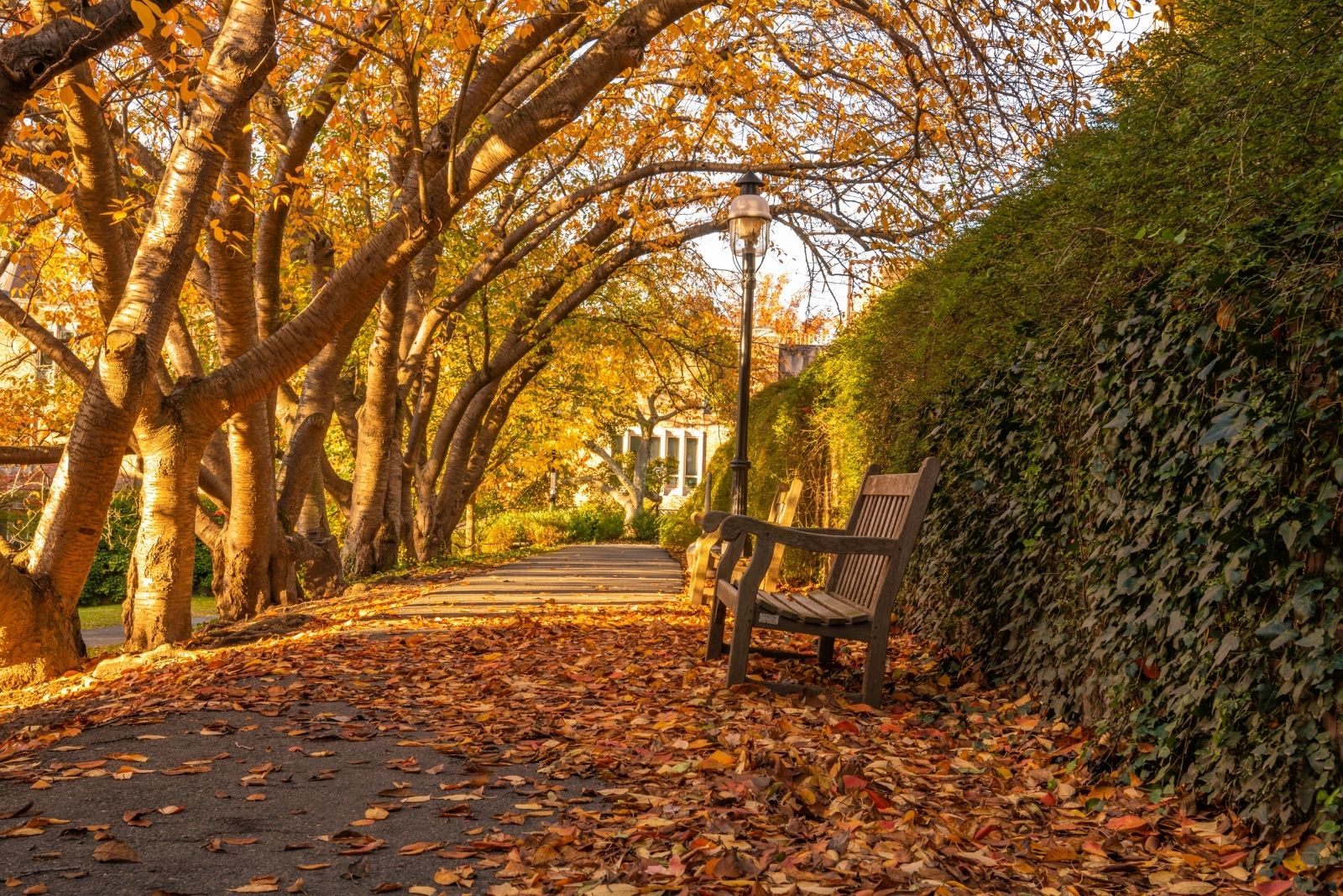 The Story Behind Why New Jersey Is Called The Garden State