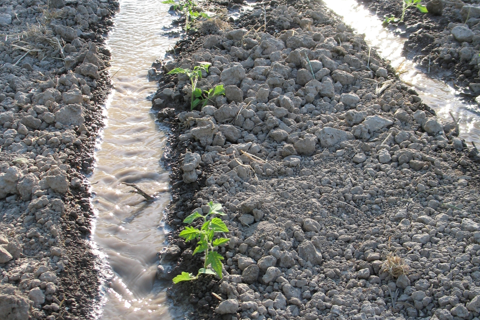 irrigation channel