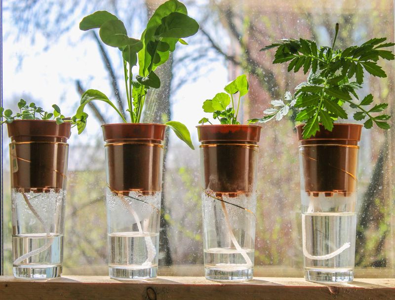 Create Self-Watering Containers