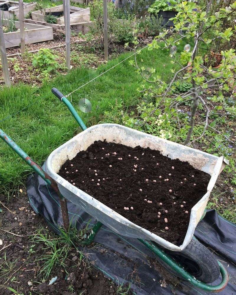 Create Seed-to-Soil Contact