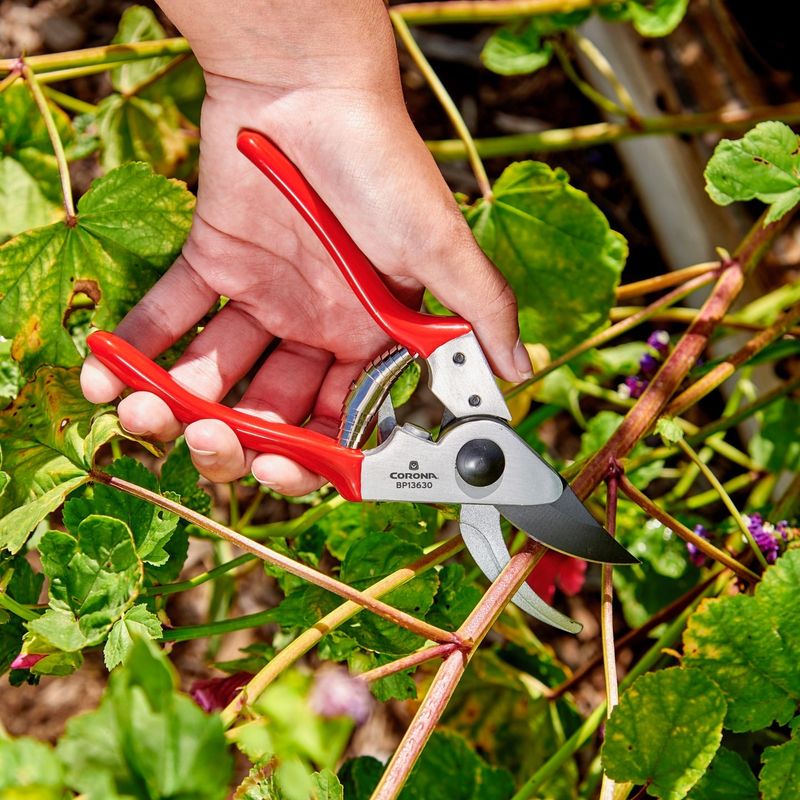 Clean Tools Prevent Disease Spread