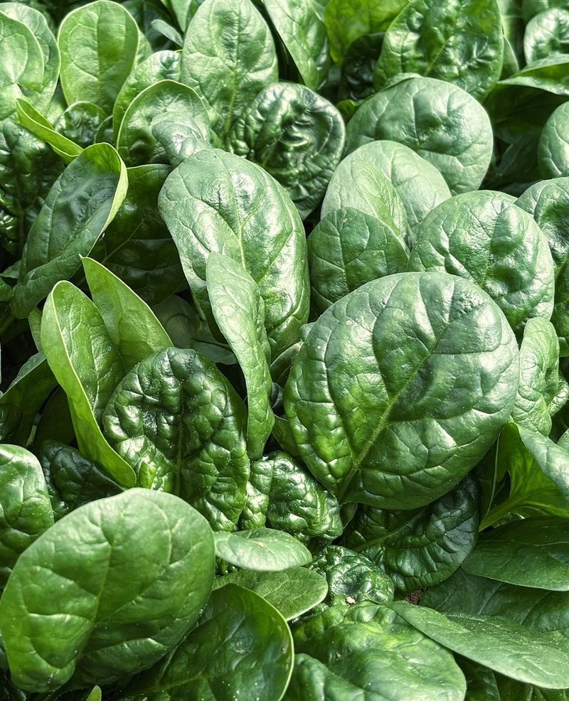 Choose the Right Varieties
