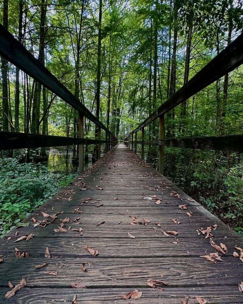 Sky Lake Wildlife Management Area