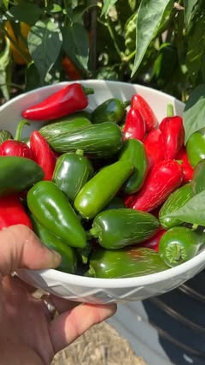 Peppers
