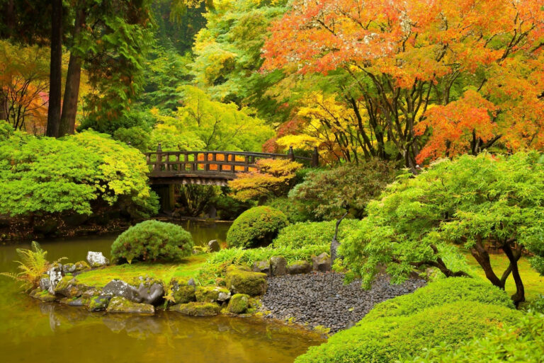 A bridge over a pond in a japanese garden in northwest Oregon (featured image)