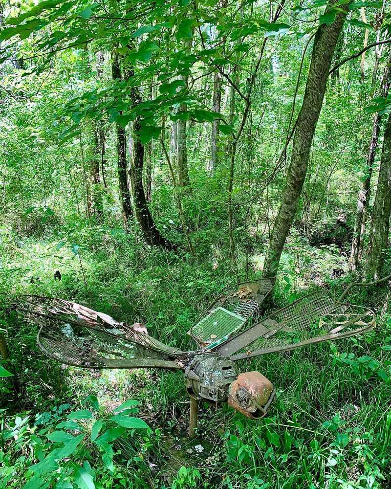 Ebenezer Swamp Ecological Preserve