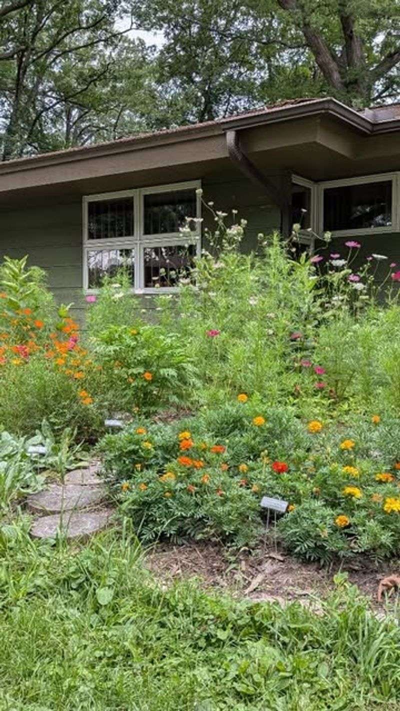 Silverwood Park's Finnish-Inspired Landscape