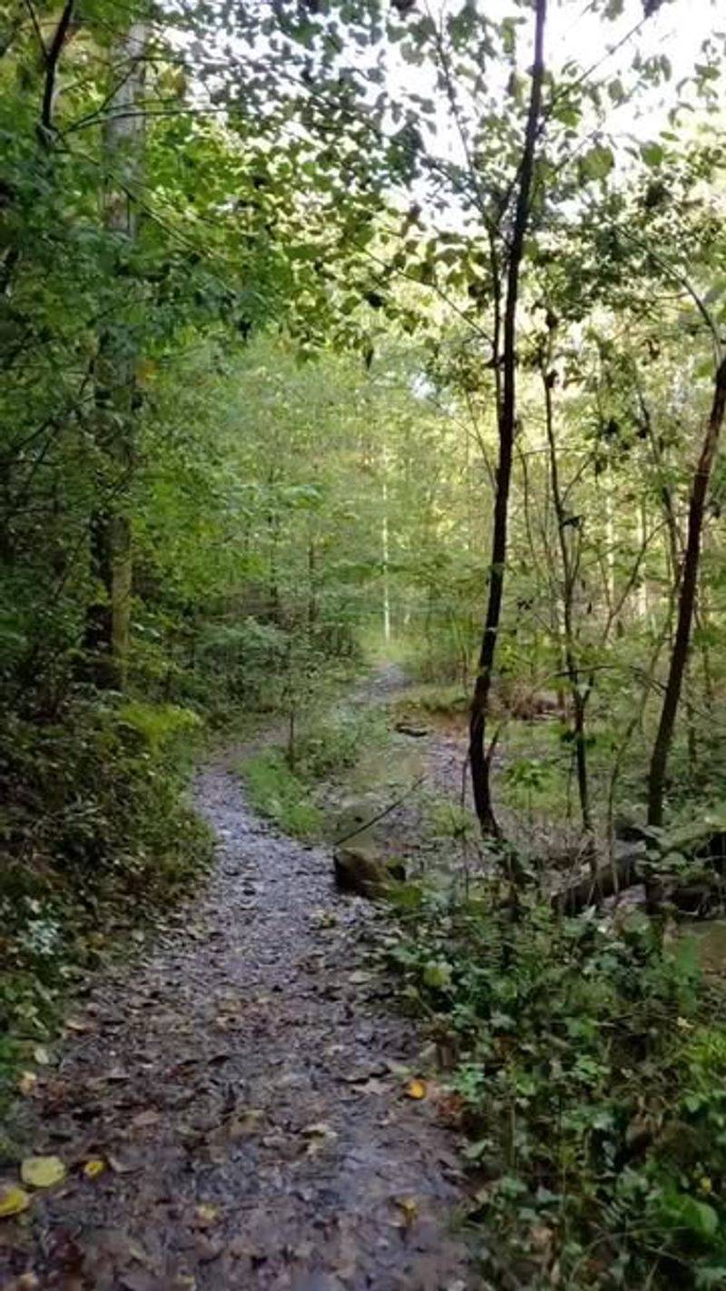 Hemlock Cliffs National Scenic Trail