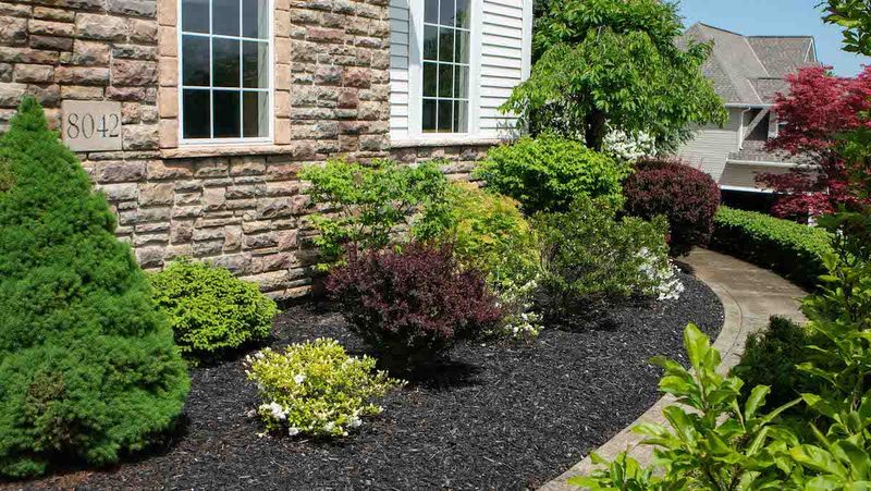 Modify Your Landscape To Discourage Visits