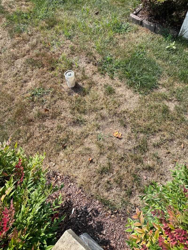 Improper Weed Control