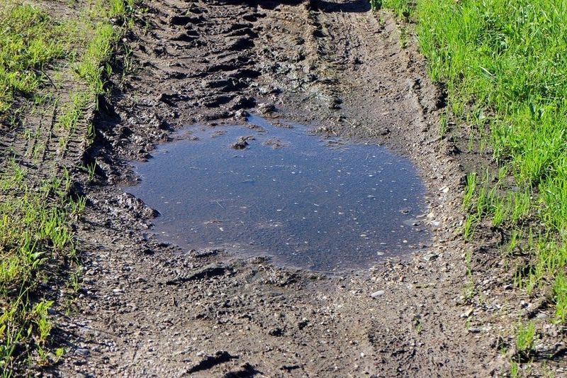 Neglecting Soil Compaction Issues