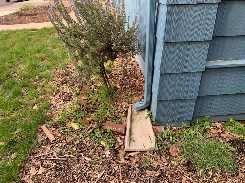 Protecting Soil From Erosion In Rainy Washington