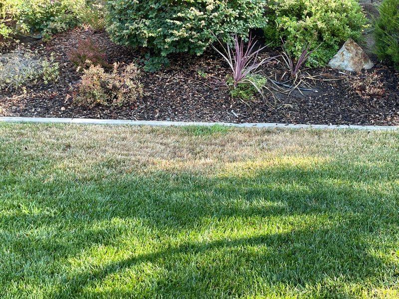 Improper Irrigation Coverage
