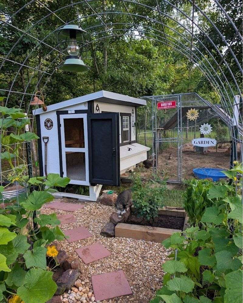 Backyard Chicken Coops