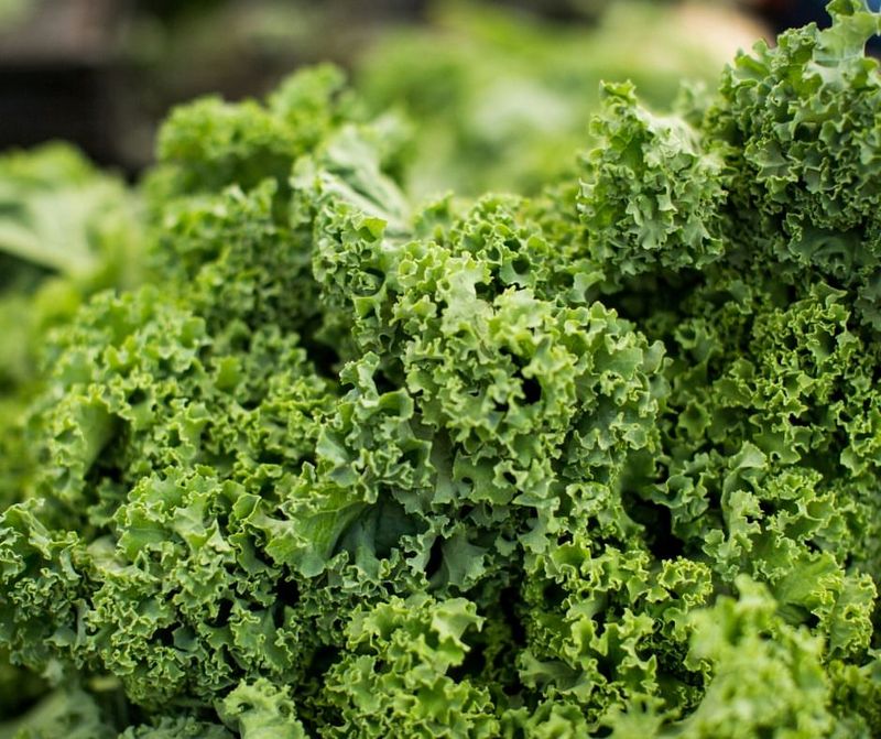 Crisp Leafy Kale