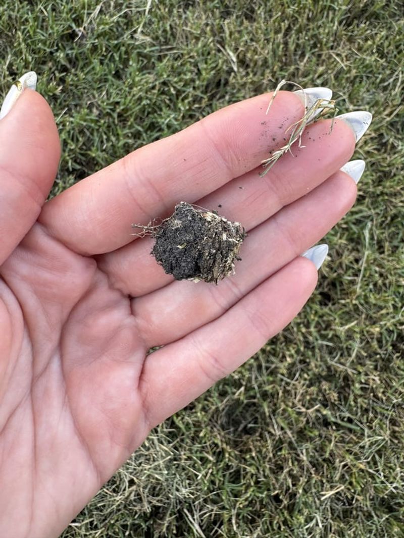 Soil Aeration