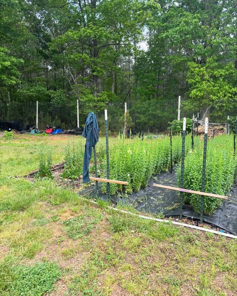 Deer-Defeating Fishing Line Barriers