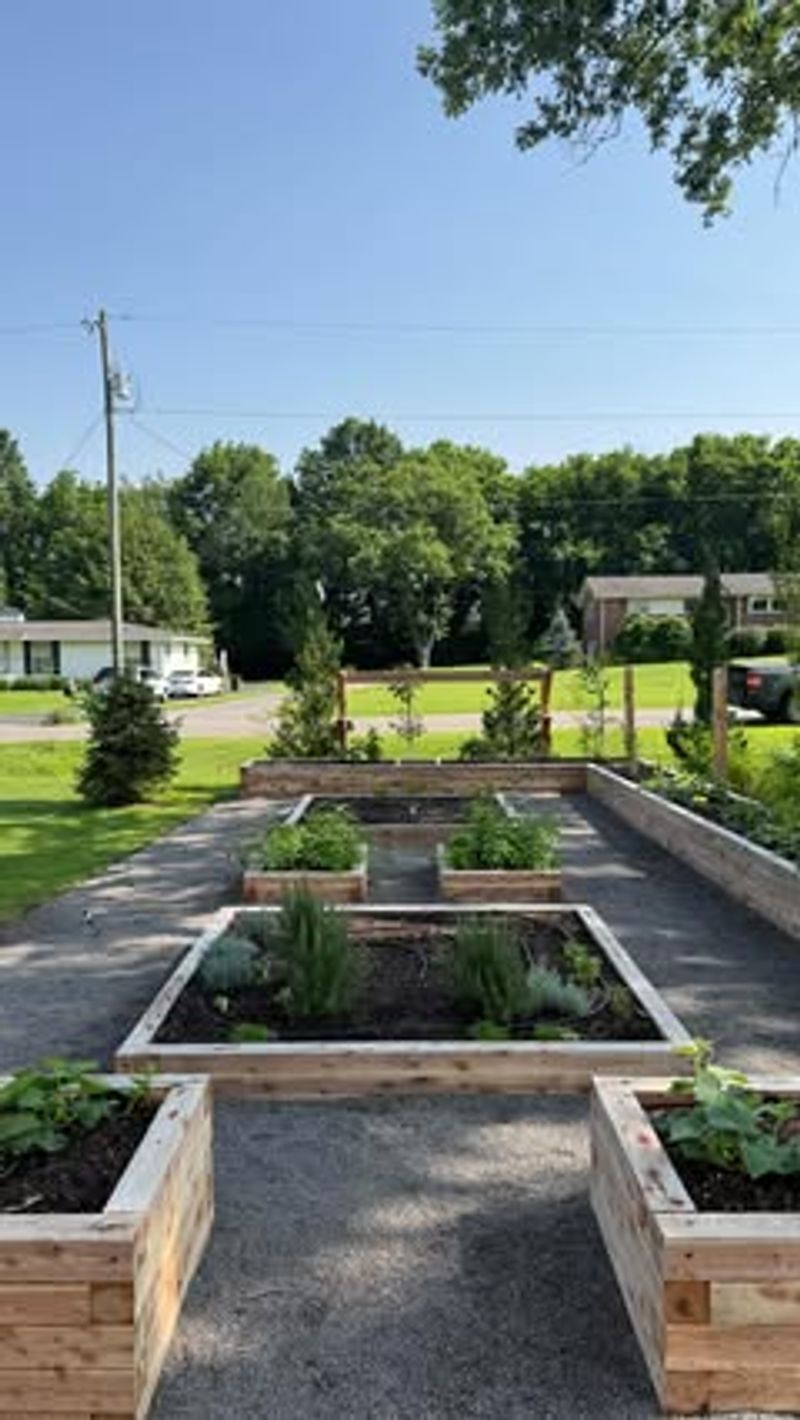 Vegetable Gardens in Front Yards
