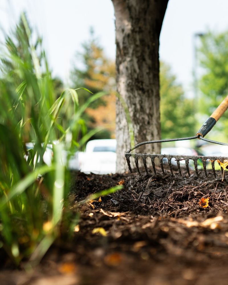 Fall Garden Cleanup