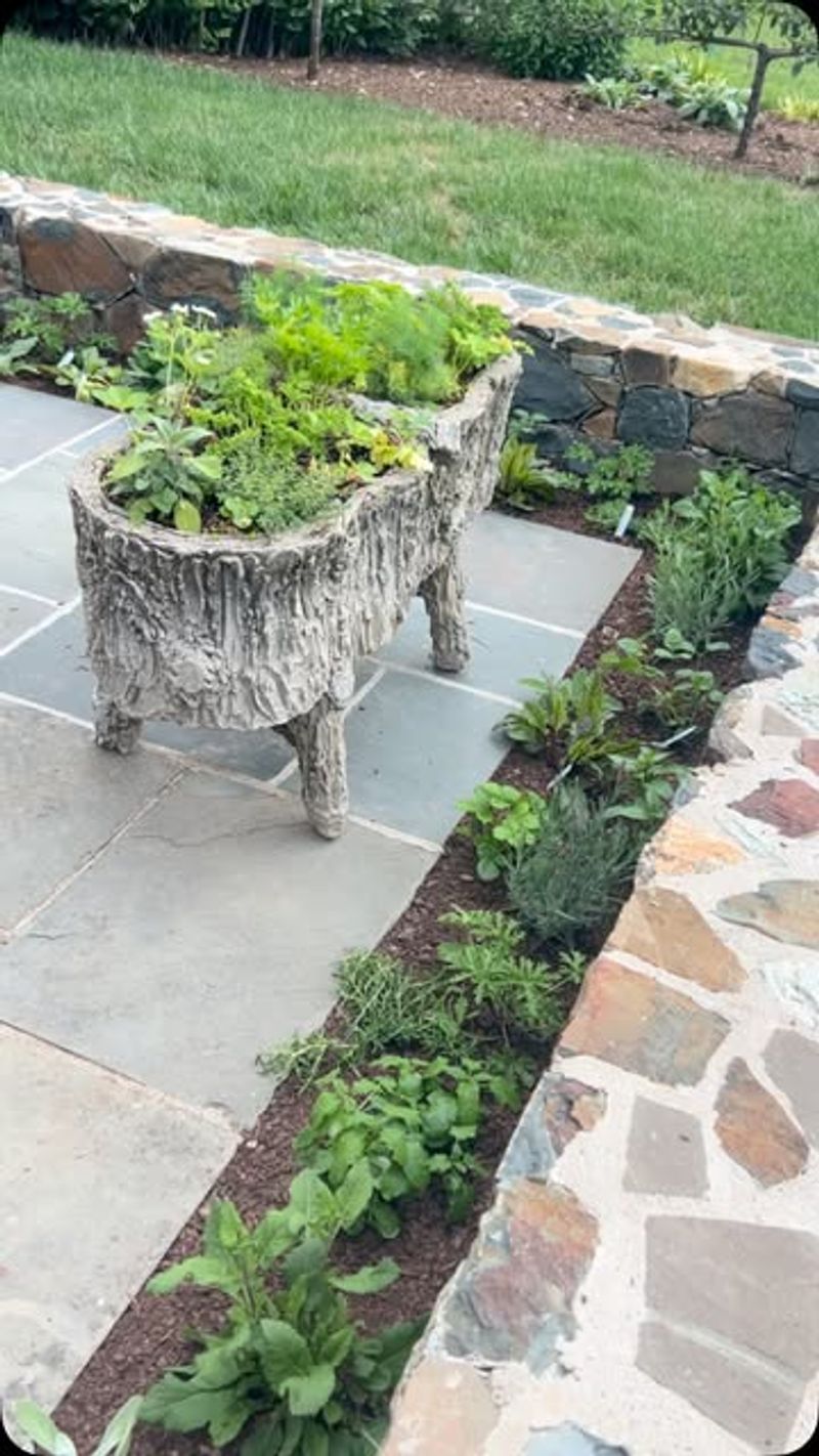 Photograph The Herb Garden Collections