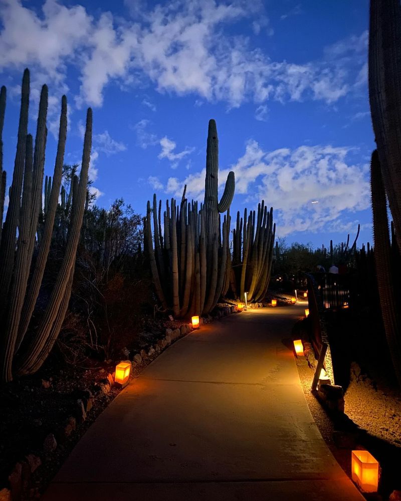 Attend a Garden Concert or Night Event