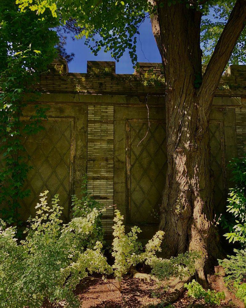 Herbaceous Borders