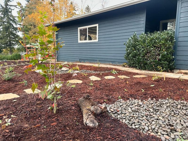 Mulch Like Your Plants' Lives Depend On It