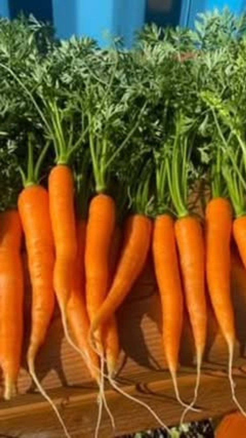 Thin Seedlings Properly