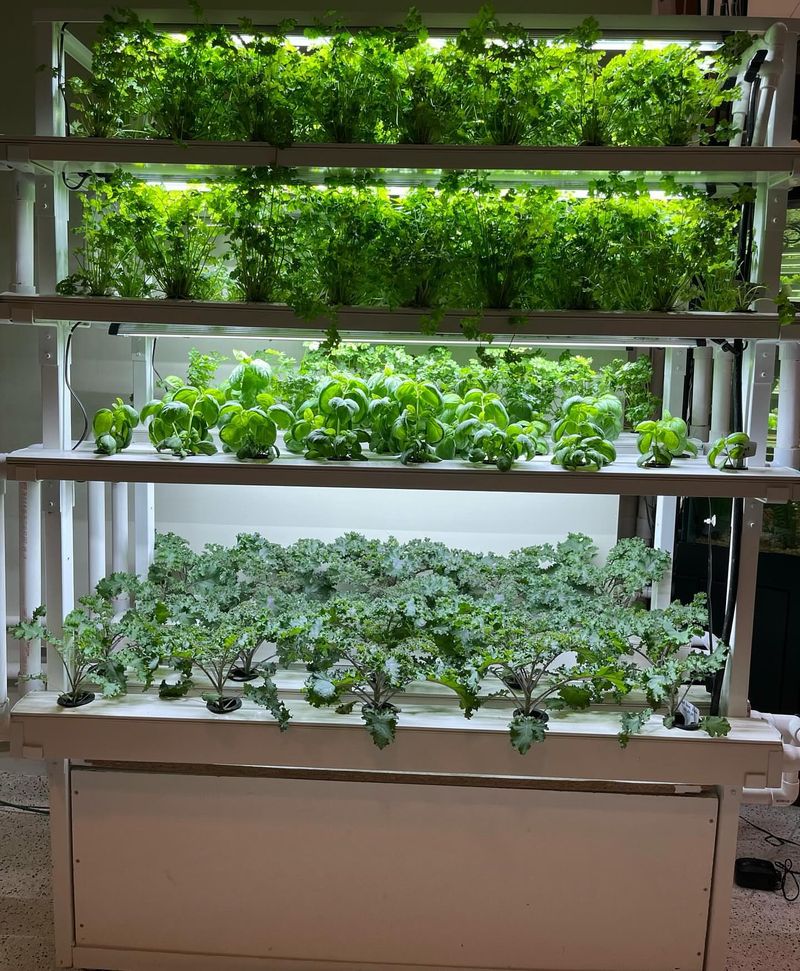 Limited Crop Variety Despite Big Promises