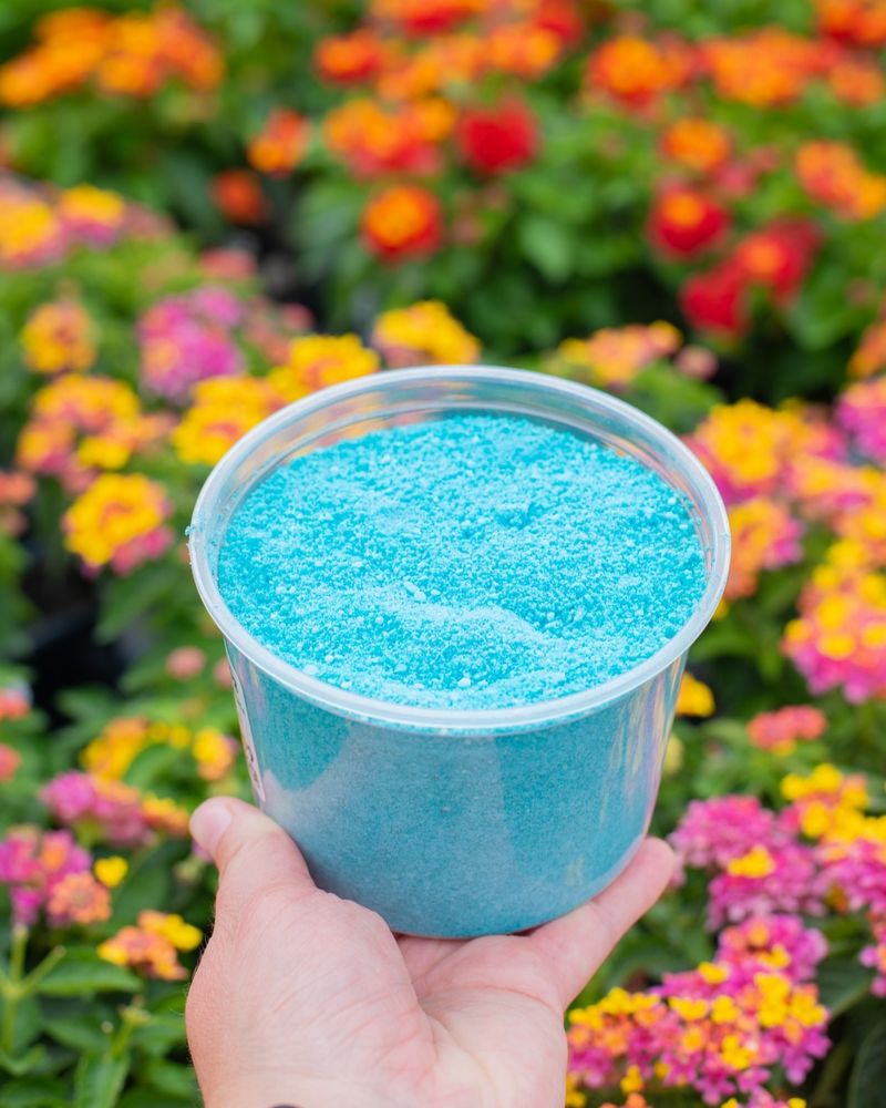 Feed With Bloom-Boosting Fertilizers