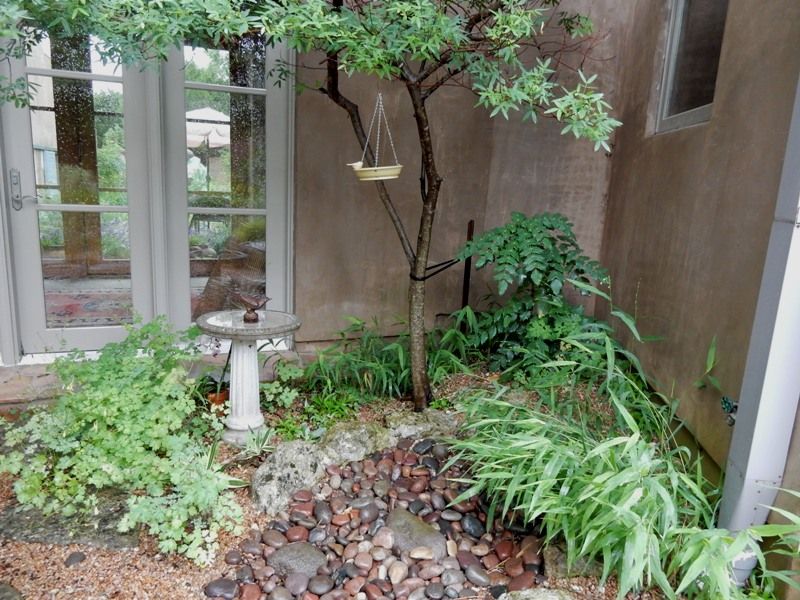 Native Plant Integration With Global Design Principles